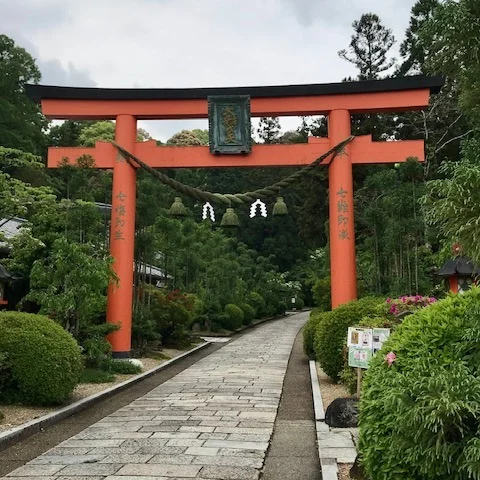 🎋お寺に鳥居！？それってアリ！？😳
奈良の【霊山寺】には、なんと…⛩️大きな真っ赤な鳥居がドーン！
しかもそこには「大辨才天（だいべんざいてん）」の文字✨

実はこれ、仏教の「天部の神様」を祀っている証。
弘法大師空海が祀った辨才天さまがいらっしゃるので、神仏習合の名残として鳥居があるんです👏
つまり鳥居は“神の門”＝ここから先は聖なる浄域というわけ🌿

境内のバラ園も、いま見ごろ目前🌹💕
優美な花々と神仏のパワーが共演する、まさに“花と祈りのパワースポット”✨
写真映えも間違いなし📸💗

この週末は、心とカメラにパワーチャージを✨
霊山寺で癒しのひとときをどうぞ🧘‍♀️

#霊山寺 #奈良観光 #大辨才天 #パワースポット巡り#バラ園 #満開直前 #弘法大師 #奈良の魅力 #映えスポット #御朱印巡り #関西おでかけ #開運スポット
