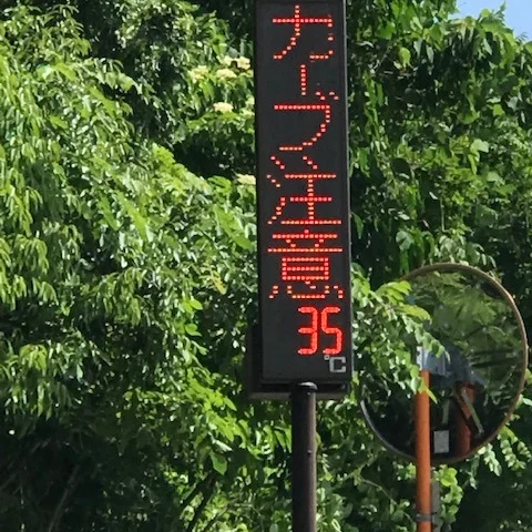 🚗💨信貴山ドクターカー移動中、温度計を見て二度見っ！！
まさかの35度！？体感じゃなくてリアル表示！
…って、あれ？あまりに陽が当たりすぎてセンサーがバグったのかも😂

でも実際、体もついていけてない感がすごい（笑）
ドクターからのアドバイスはズバリ👇
🌊「水を飲みなさい！」
🧂「塩を少し、ひとつまみ入れなさい！」

とのことで、今日から“水分とミネラル”生活スタートしました✨
「トイレに行きたくなるくらい飲んで... 」とのことで、
ちょっとした水の旅人状態🚽💨（笑）

明日もまた酷暑予報…☀️🔥
エアコン効かせて、水分こまめに、無理しないで過ごしましょ〜🌿

#酷暑対策 #ドクターのアドバイス #水分補給大事 #塩分チャージ
#熱中症予防 #夏の暮らし#笑って暑さを乗り切ろう#無理せずいこう #夏はこれから